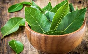 Beneficios de la hoja de laurel para la salud cardiovascular: soporte natural y antioxidante